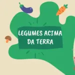 Horta Agricultura Familiar Organico Frutas Legumes Verdura Ilustrado Colorido Verde Post de Instagram