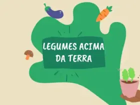 Legumes Acima da Terra: Benefícios e Variedades para Incluir na Sua Alimentação 3 Horta Agricultura Familiar Organico Frutas Legumes Verdura Ilustrado Colorido Verde Post de Instagram